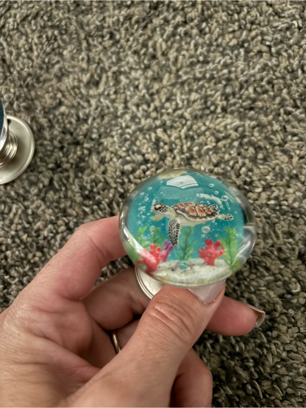 Ocean Creatures large knobs set - Octopus & Sea Turtle Set - Picture 7 of 9
